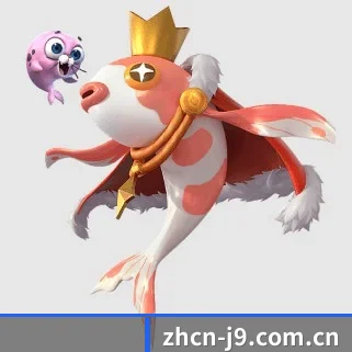 专业赛事服务, 为你而来